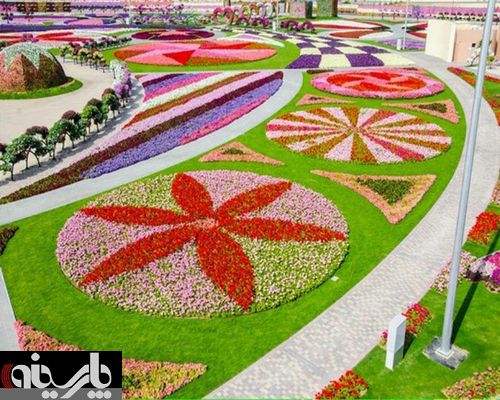 فستیوال گل در دبی با 45 میلیون گل