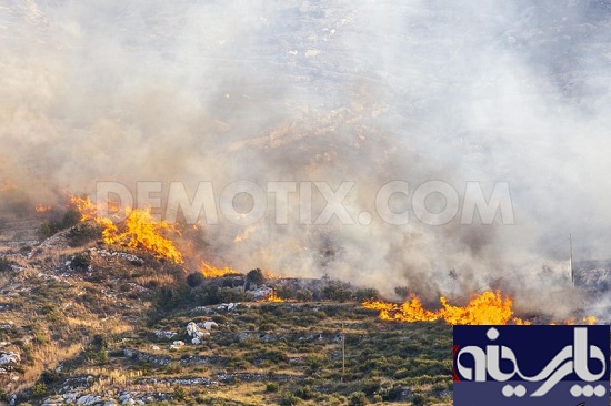 آتش سوزی در کراوسی خانه ها را تهدید کرد