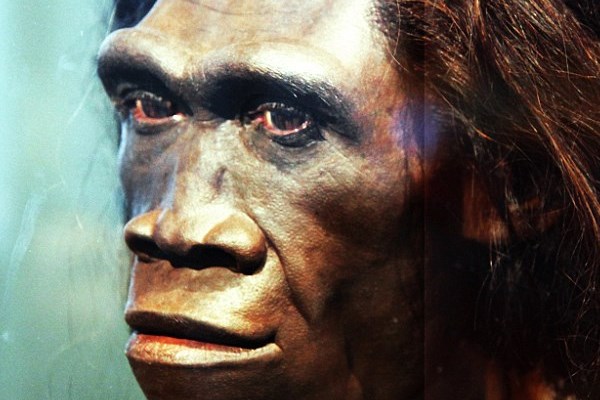 کشف دندان ۲۴۰ هزار ساله