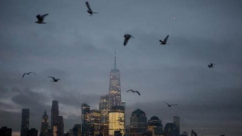 مرگبارترین شهر دنیا برای پرندگان