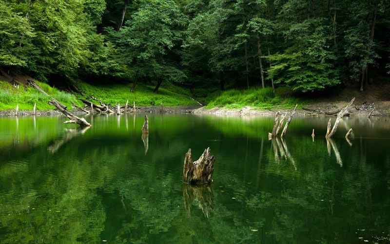 دریاچه میانشه خواهر خوانده ی دریای خزر دریاچه میانشه خواهر خوانده ی دریای خزر