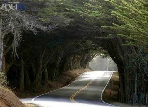 بهترین مکانهای دیدنی کرج برای گردشگران بهترین مکانهای دیدنی کرج برای گردشگران