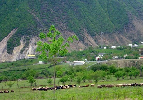 بهترین مقاصد سفر پاییزی متفاوت برای زوجها بهترین مقاصد سفر پاییزی متفاوت برای زوجها