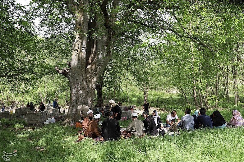 عید مردگان در مازندران +عکس