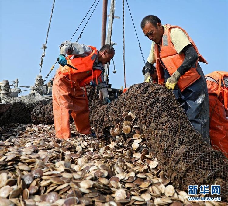 فصل صید ماهی در آب‌های چین +تصاویر