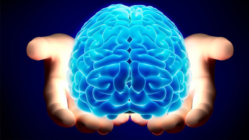 چه چیزی فعالیت مغز را مختل می‌کند؟