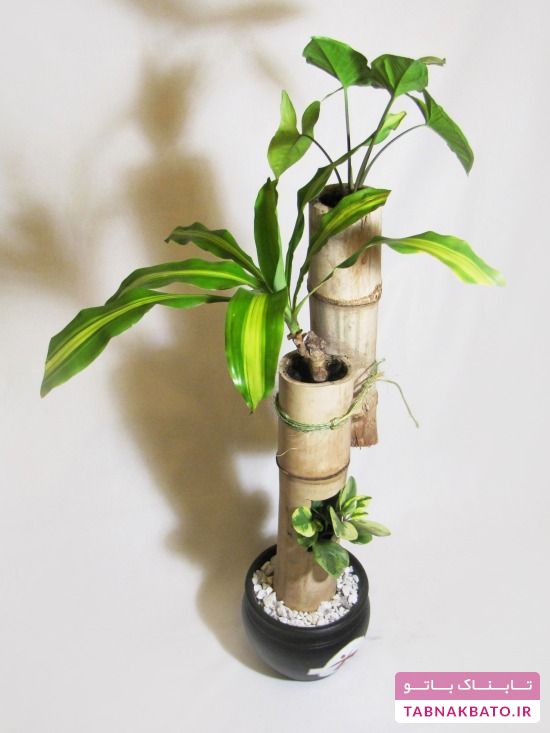 ایده‌هایی برای داشتن گلدان‌هایی از چوب بامبو