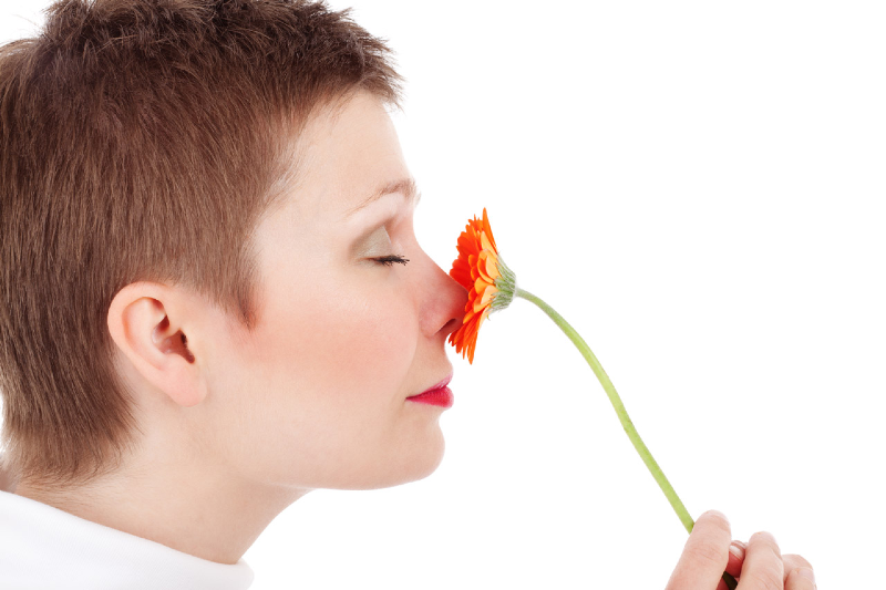 بوییدن گل‌ها و اثرات آن روی مغز