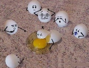 تخم مرغ منبع سرشار از پروتئین