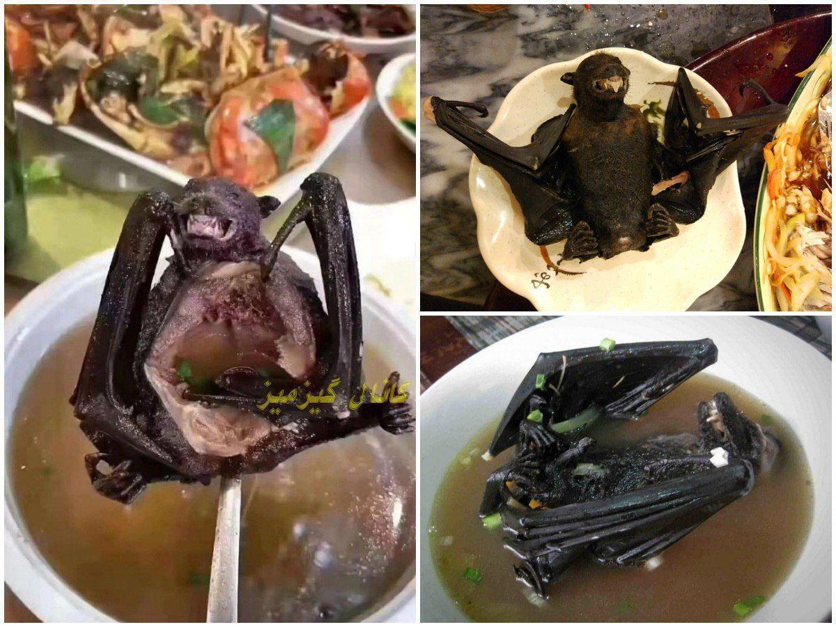 سوپ خفاش در چین؛ مظنون انتقال ویروس کرونا +عکس