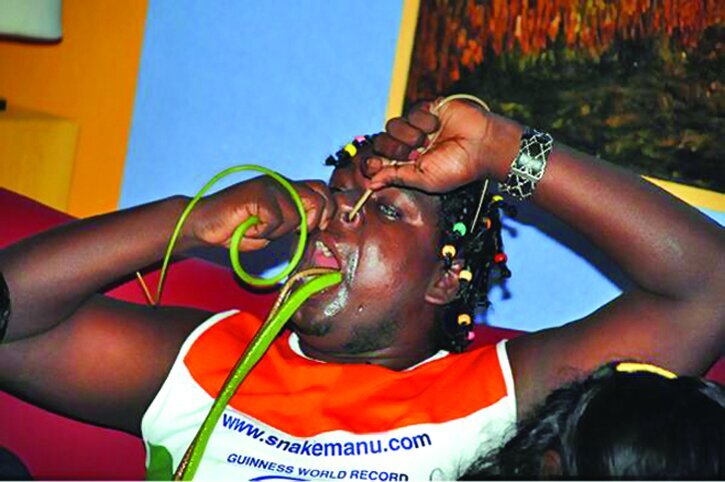 عبور دادن مار کبرا و افعی از دهان و دماغ برای ثبت رکورد!