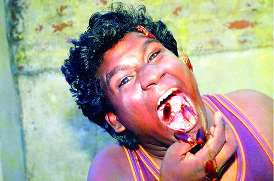 عبور دادن مار کبرا و افعی از دهان و دماغ برای ثبت رکورد!