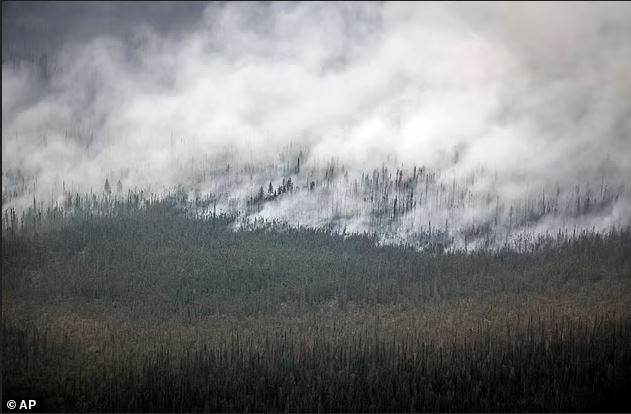 آسمان خاکستری و صحنه های آخرالزمانی در بریتیش کلمبیای کانادا