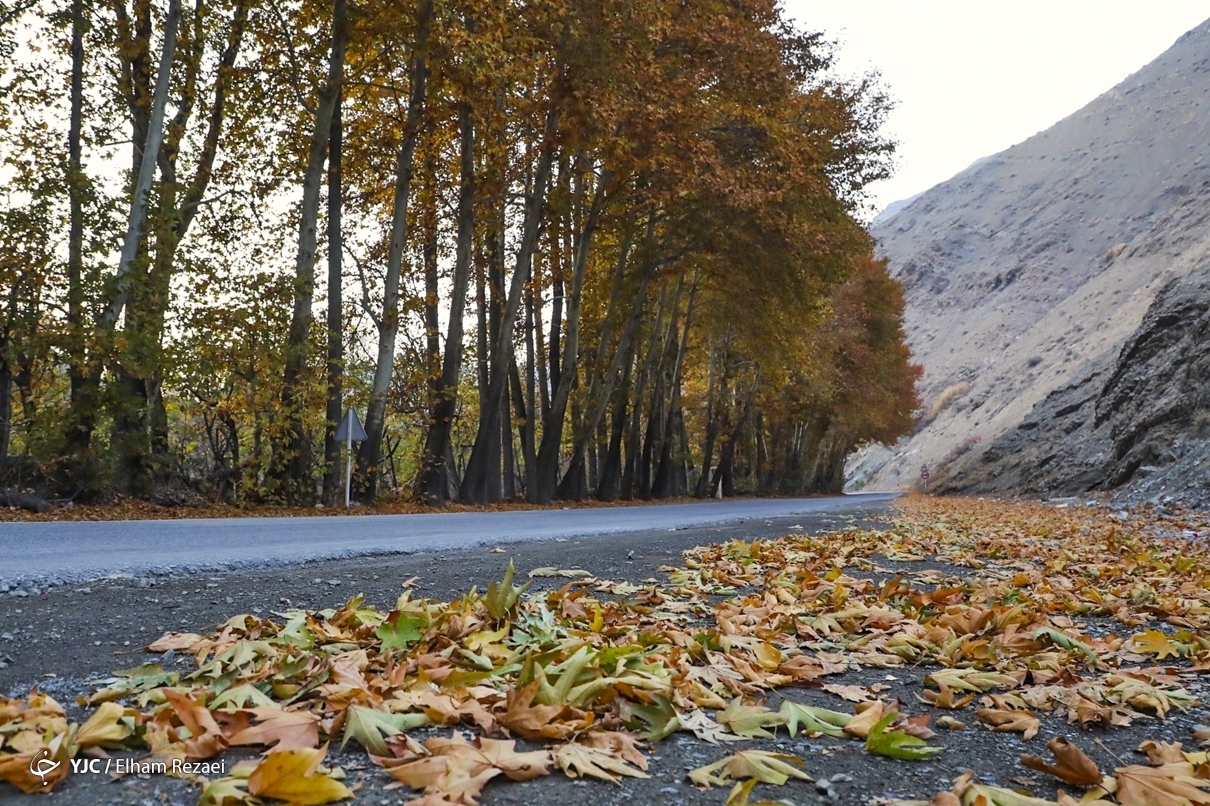 طبیعت زیبای جاده چالوس در پاییز