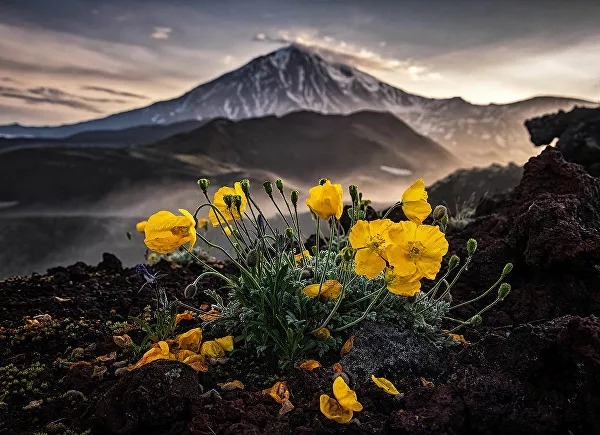 برندگان مسابقه عکاسی مطبوعات جهانی ۲۰۲۱
