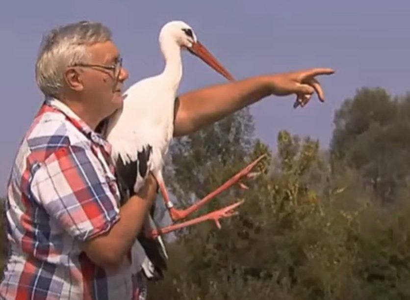 زندگی عاشقانه ملنا به عنوان لک لک