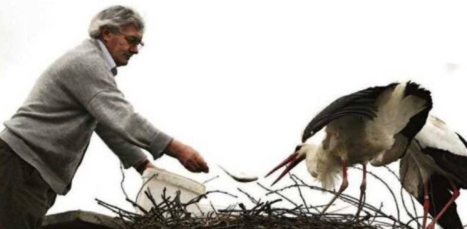 غذا دادن استفان به جوجه لک لک ها