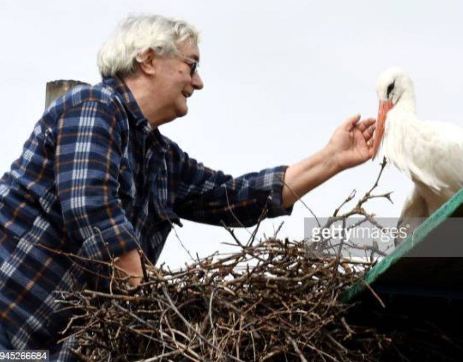 کمک به لک لک برای ساخت خانه