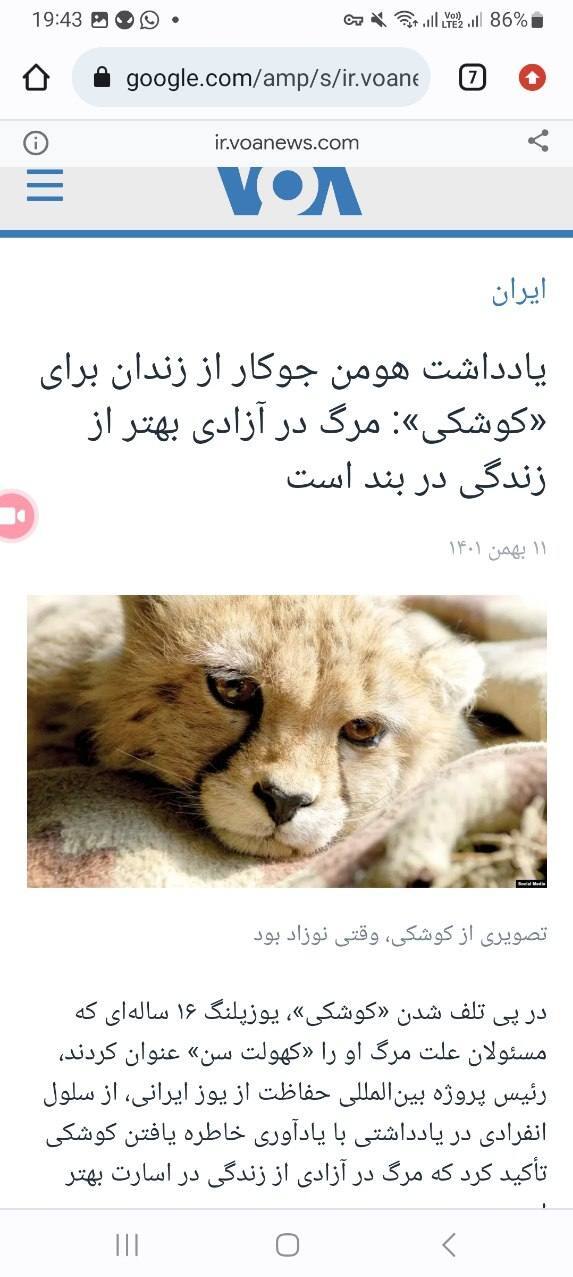 رنامه ریزی جامعی در زمینه تکثیر در اسارت یوز انجام شده