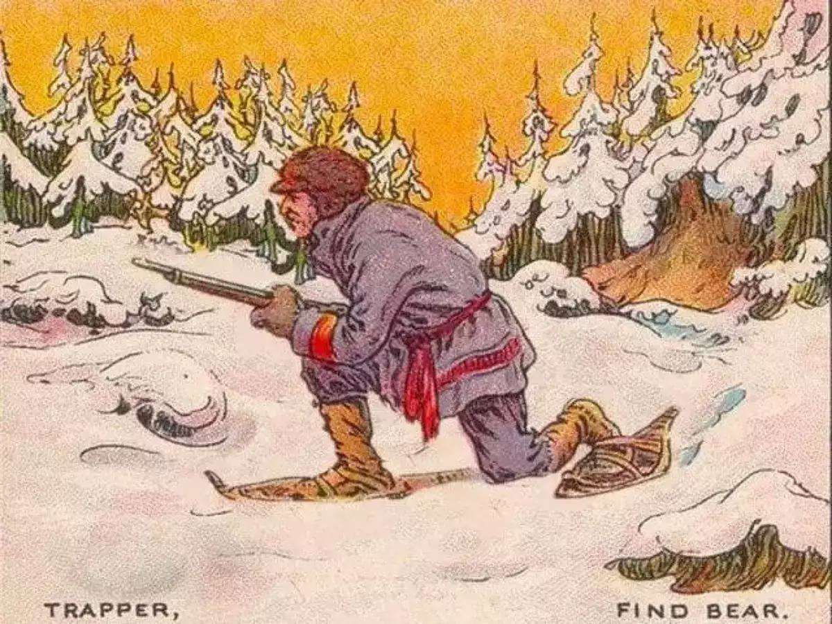 تست پیدا کردن خرس بین درختان