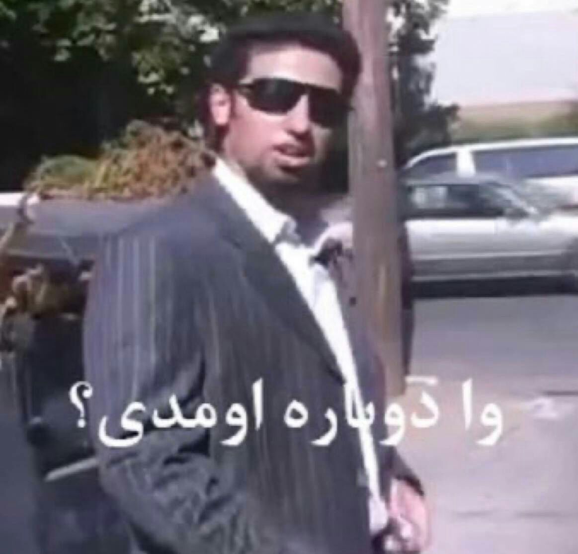 گربه پالاس خراسانی خطاب به سید بابک موسوی