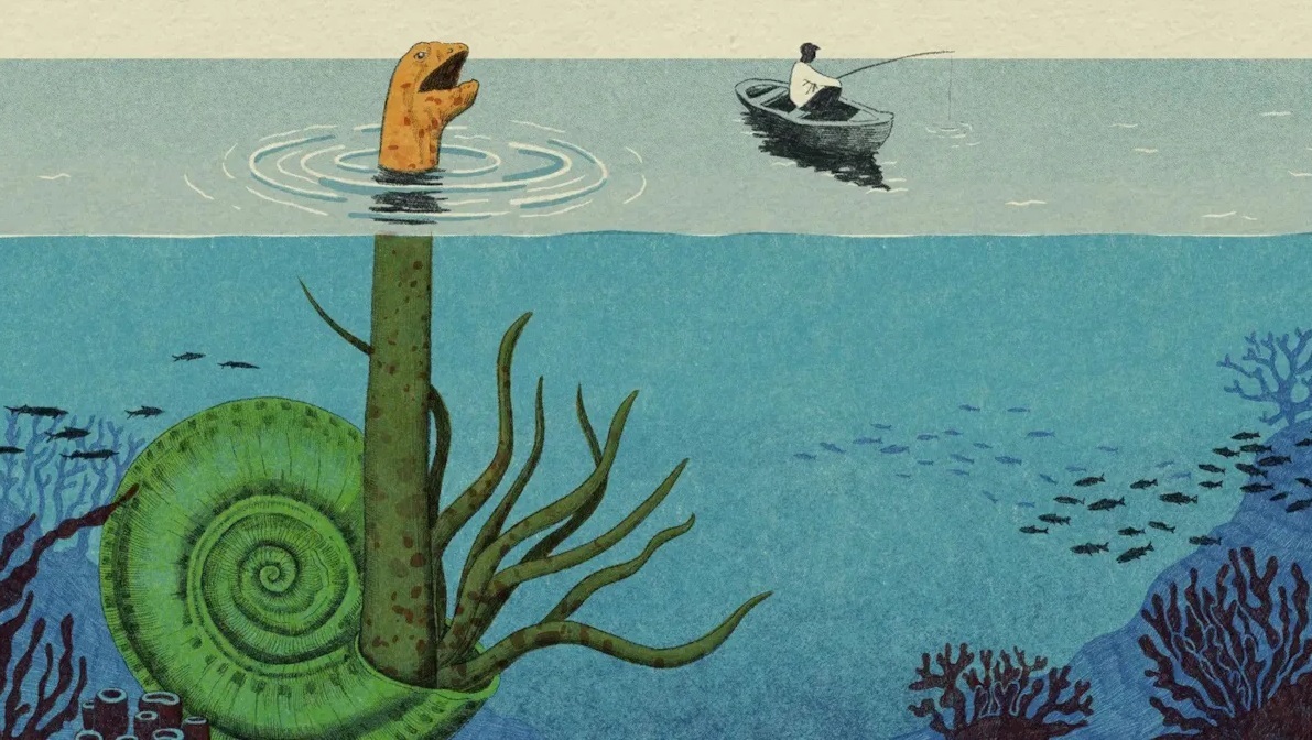 رقابت تنگاتنگ دانشمندان برای کشف گونه های جدید اقیانوسی