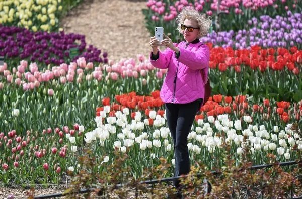 نمایشگاه سالانه رژه لاله ها در باغ گیاه شناسی روسیه