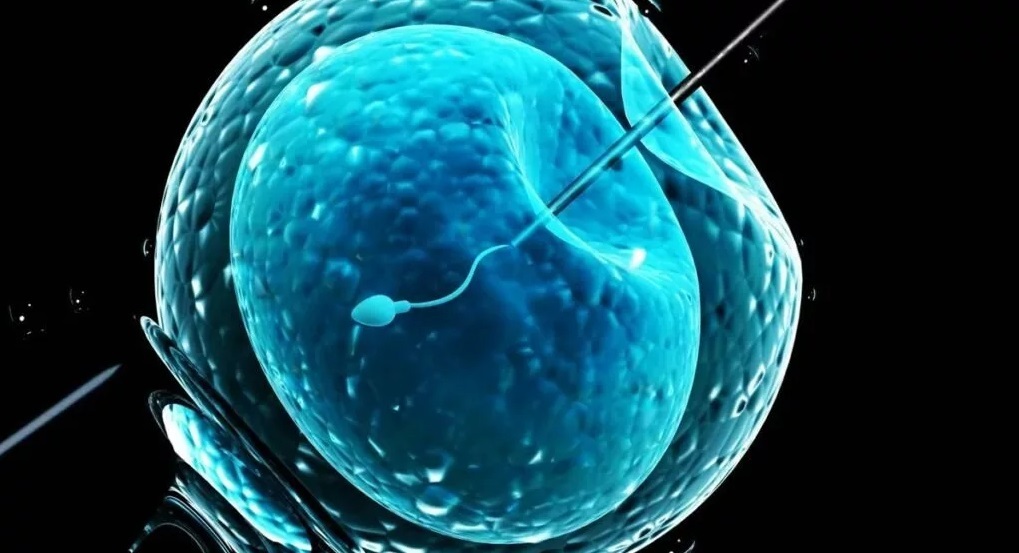 تولد دو دختربچه به روش لقاح مصنوعی با کمک ربات