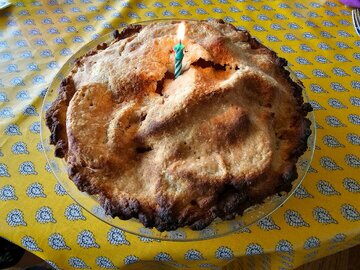 تفاوت های جالب دوربین های سامسونگ گلکسی S23 Ultra با آیفون اپل 14 Pro