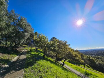 تفاوت های جالب دوربین های سامسونگ گلکسی S23 Ultra با آیفون اپل 14 Pro